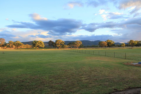 Radiance On Lyra - Stayed 0