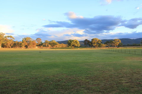 Radiance On Lyra - Stayed 2