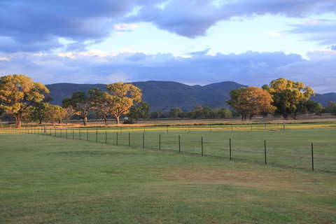 Radiance On Lyra - Stayed 1