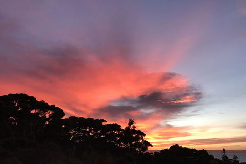 Sunrise On Falie - Stayed 2