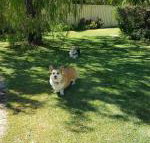 Abbey Beach Shack - Stayed