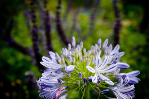 Yelki By The Sea - Stays Accommodation 3