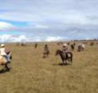 Susan River Homestead - Stayed