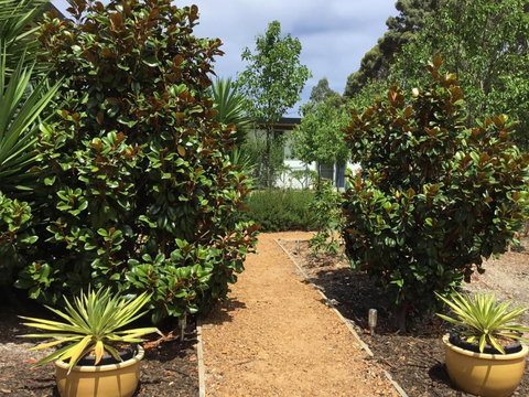 Bed + Bauhaus - Stayed 2