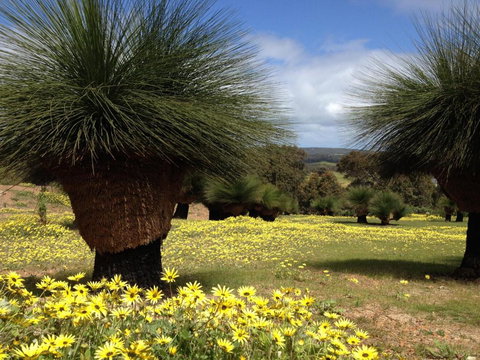 Bed + Bauhaus - Stayed 5