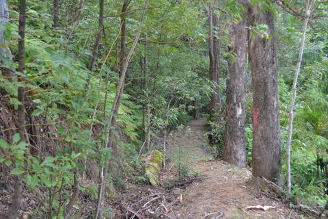 Turmeric Gardens - Stayed 5