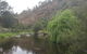 Karamea Homestead - thumb 1