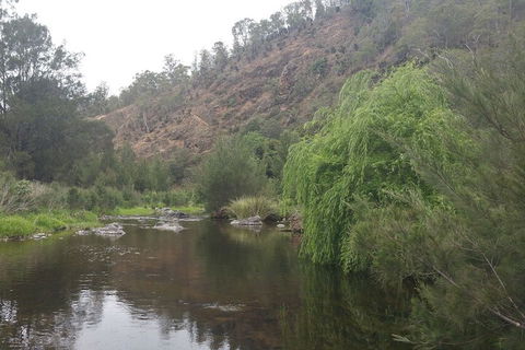 Karamea Homestead - Stays Accommodation 1