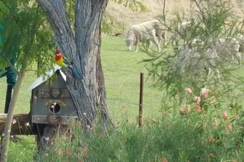 Birdhouse Cottage B & B - Stayed 5