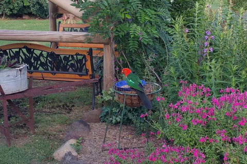 Birdhouse Cottage B & B - Stayed 3