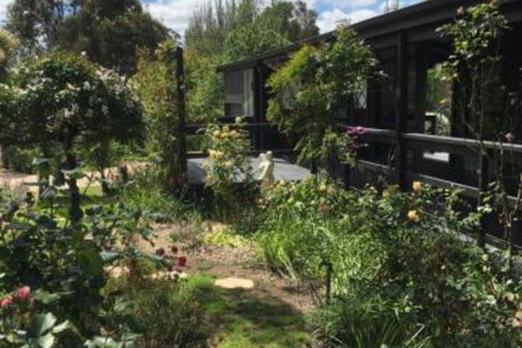 Hilltop Too - Stayed 6