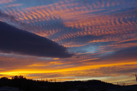 Watercolours - Stayed 2