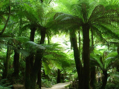 Watercolours - Stayed 1