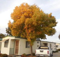 Wodonga Caravan  Cabin Park - Stayed