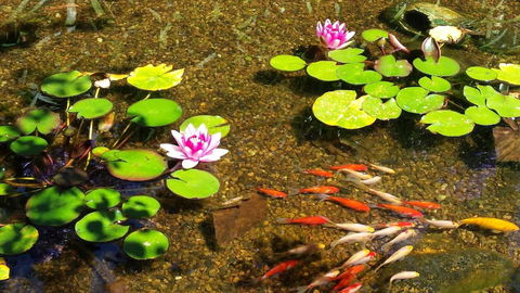 Winston Cottage At Three Sisters - Stayed 6