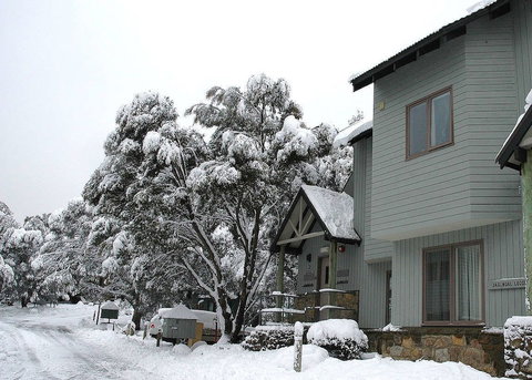 Jagungal 2 - Stayed 5