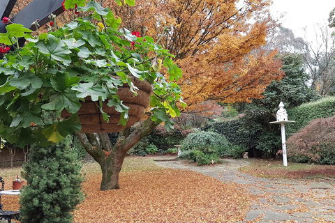 Villa DAmour - Stayed 2