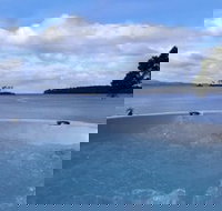 The Shackeau - Stayed