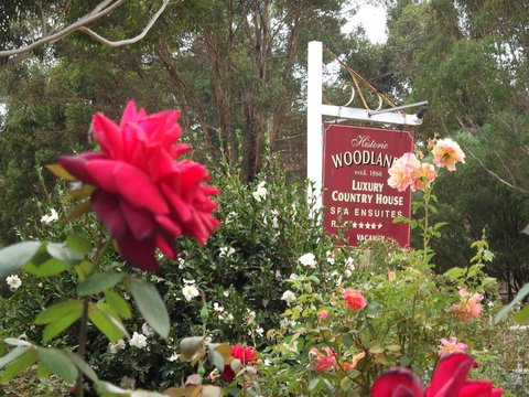 Woodlands Of Bridgetown B & B - Stays Accommodation 5