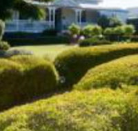 Whiskey Gully Wines - Stayed