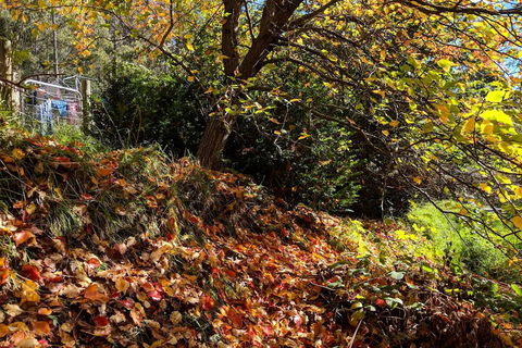 Mountain Blue Guest Accommodation - Stays Accommodation 1