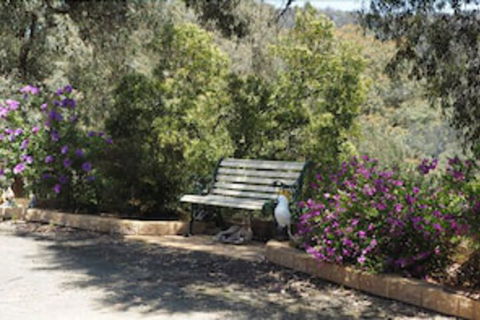 Wild Cherry Bed & Breakfast - Stayed 3