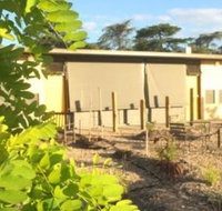 Tread Harcourt - Stayed