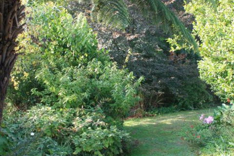 Strathmore Farm B & B - Stayed 5