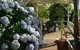 Nannup Riverview Cottage - thumb 3
