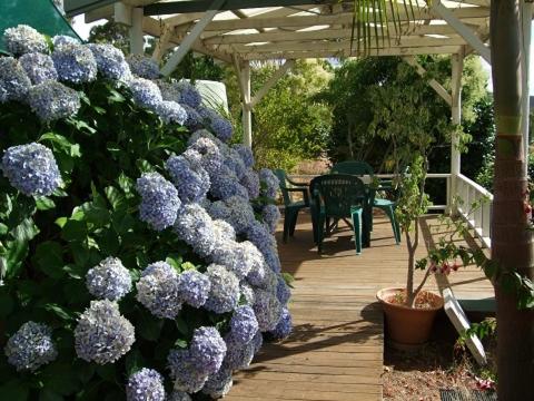 Nannup Riverview Cottage - Stayed 3