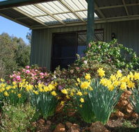 Nannup Riverview Cottage - Stayed
