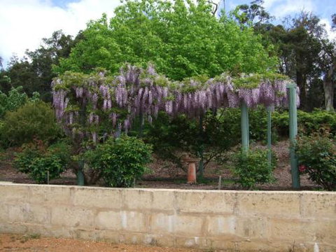 Nannup Riverview Cottage - Stayed 5