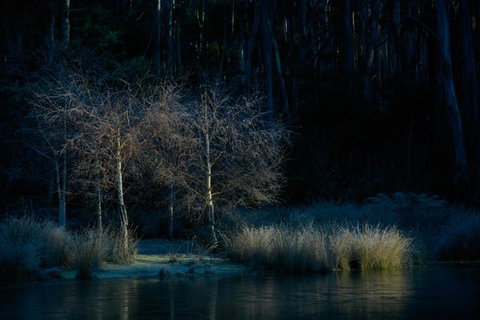 Naivasha Cottage - Stayed 3