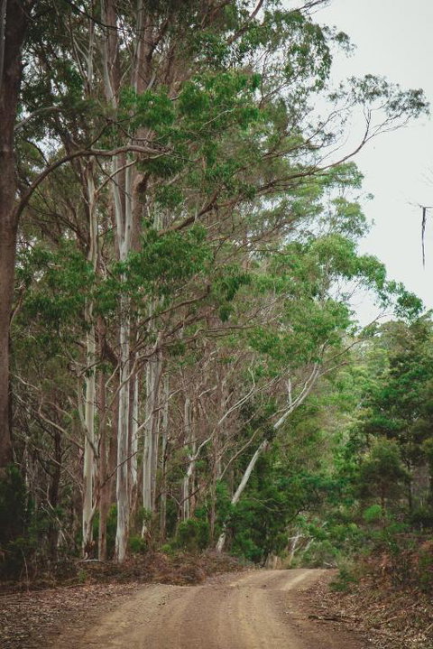 Naivasha Cottage - Stayed 2