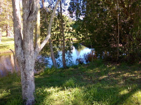 Eumundi Cottages Cottage 1 - Stayed 4