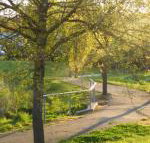 A Suite Spot in the Hills - Stayed