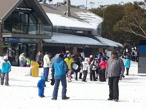 Discobulous 6 - Stayed 0