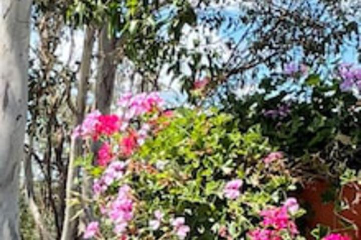 The Bluff QLD Stayed