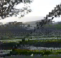 Jasmine's Cottage - Stayed