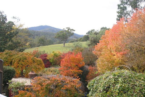 Riverhouse At Howqua Dale - Stayed 5