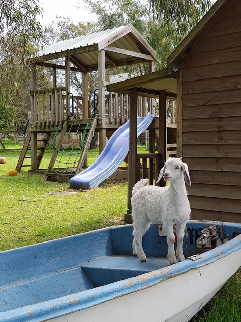 Ripples N Tonic - Stays Accommodation 2