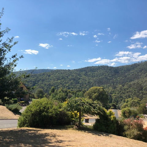 View Mount - Stayed 1
