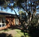 Tussock Sands - Stayed