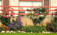Oyster Court Apartments - thumb 4