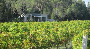 Just Red Wines Vineyard Cabins - Stayed 3