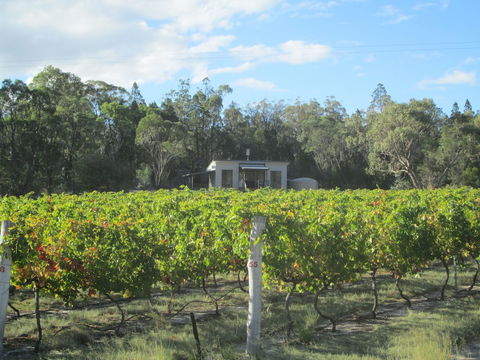 Just Red Wines Vineyard Cabins - Stayed 6