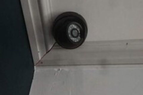 The Cottage On George Street - Stayed 7