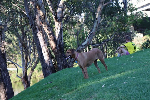 Bridge Motel Wellington - Stayed 1