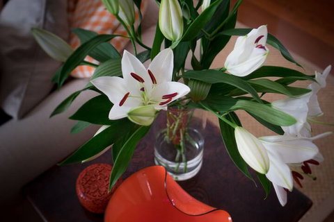 The Kinninmont House - Stays Accommodation 4