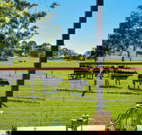 Curra Homestead Maleny - Stayed